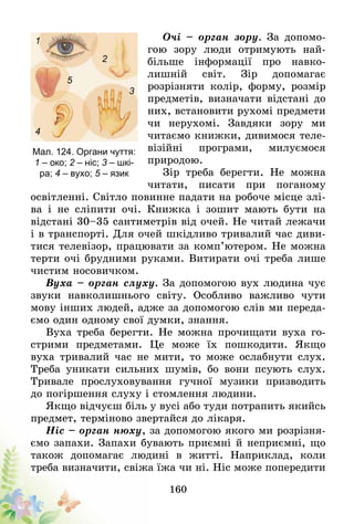 160
Очі – орган зору. За допомо-
гою зору люди отримують най-
більше інформації про навко-
лишній світ. Зір допомагає
розрізняти колір, форму, розмір
предметів, визначати відстані до
них, встановити рухомі предмети
чи нерухомі. Завдяки зору ми
читаємо книжки, дивимося теле-
візійні програми, милуємося
природою.
Зір треба берегти. Не можна
читати, писати при поганому
освітленні. Світло повинне падати на робоче місце злі-
ва і не сліпити очі. Книжка і зошит мають бути на
відстані 30–35 сантиметрів від очей. Не читай лежачи
і в транспорті. Для очей шкідливо тривалий час диви-
тися телевізор, працювати за комп’ютером. Не можна
терти очі брудними руками. Витирати очі треба лише
чистим носовичком.
Вуха – орган слуху. За допомогою вух людина чує
звуки навколишнього світу. Особливо важливо чути
мову інших людей, адже за допомогою слів ми переда-
ємо один одному свої думки, знання.
Вуха треба берегти. Не можна прочищати вуха го-
стрими предметами. Це може їх пошкодити. Якщо
вуха тривалий час не мити, то може ослабнути слух.
Треба уникати сильних шумів, бо вони псують слух.
Тривале прослуховування гучної музики призводить
до погіршення слуху і стомлення людини.
Якщо відчуєш біль у вусі або туди потрапить якийсь
предмет, терміново звертайся до лікаря.
Ніс – орган нюху, за допомогою якого ми розрізня-
ємо запахи. Запахи бувають приємні й неприємні, що
також допомагає людині в житті. Наприклад, коли
треба визначити, свіжа їжа чи ні. Ніс може попередити­
Мал. 124. Органи чуття:
1 – око; 2 – ніс; 3 – шкі-
ра; 4 – вухо; 5 – язик
3
4
5
1
2
 