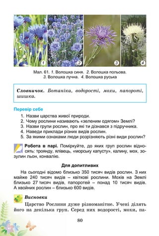 80
1 2 3 4
Мал. 61. 1. Волошка синя. 2. Волошка польова.
3. Волошка лучна. 4. Волошка руська
Словничок. Ботаніка, водорості, мохи, папороті,
шишка.
Перевір себе
1.	Назви царства живої природи.
2.	Чому рослини називають «зеленим одягом» Землі?
3.	Назви групи рослин, про які ти дізнався з підручника.
4.	Наведи приклади різних видів рослин.
5.	За якими ознаками люди розрізняють різні види рослин?
Робота в парі. Поміркуйте, до яких груп рослин відно-
сять: троянду, ялівець, «морську капусту», калину, мох, зо-
зулин льон, конвалію.
Для допитливих
На сьогодні відомо близько 350 тисяч видів рослин. З них
майже 240 тисяч видів – квіткові рослини. Мохів на Землі
близько 27 тисяч видів, папоротей – понад 10 тисяч видів.
А хвойних рослин – близько 600 видів.
Висновки
Царство Рослини дуже різноманітне. Учені ділять
його на декілька груп. Серед них водорості, мохи, па-
 