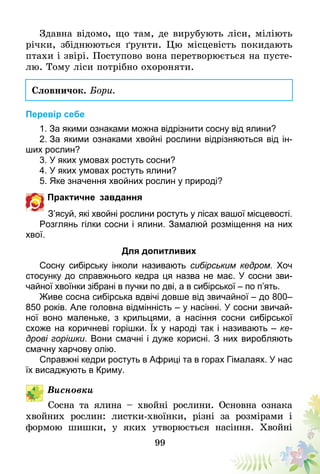 99
Здавна відомо, що там, де вирубують ліси, міліють
річки, збіднюються ґрунти. Цю місцевість покидають
птахи і звірі. Поступово вона перетворюється на пусте-
лю. Тому ліси потрібно охороняти.
Словничок. Бори.
Перевір себе
1. За якими ознаками можна відрізнити сосну від ялини?
2. За якими ознаками хвойні рослини відрізняються від ін-
ших рослин?
3. У яких умовах ростуть сосни?
4. У яких умовах ростуть ялини?
5. Яке значення хвойних рослин у природі?
Практичне завдання
З’ясуй, які хвойні рослини ростуть у лісах вашої місцевості.
Розглянь гілки сосни і ялини. Замалюй розміщення на них
хвої.
Для допитливих
Сосну сибірську інколи називають сибірським кедром. Хоч
стосунку до справжнього кедра ця назва не має. У сосни зви-
чайної хвоїнки зібрані в пучки по дві, а в сибірської – по п’ять.
Живе сосна сибірська вдвічі довше від звичайної – до 800–
850 років. Але головна відмінність – у насінні. У сосни звичай-
ної воно маленьке, з крильцями, а насіння сосни сибірської
схоже на коричневі горішки. Їх у народі так і називають – ке-
дрові горішки. Вони смачні і дуже корисні. З них виробляють
смачну харчову олію.
Справжні кедри ростуть в Африці та в горах Гімалаях. У нас
їх висаджують в Криму.
Висновки
Сосна та ялина – хвойні рослини. Основна ознака
хвойних рослин: листки-хвоїнки, різні за розмірами і
формою шишки, у яких утворюється насіння. Хвойні
 