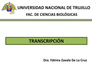 TRANSCRIPCIÓN
UNIVERSIDAD NACIONAL DE TRUJILLO
FAC. DE CIENCIAS BIOLÓGICAS
Dra. Fátima Zavala De La Cruz
 