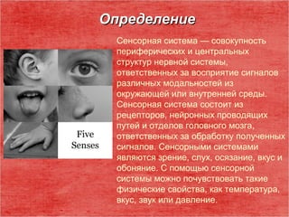 Способность к душевной и эмоциональной поддержке