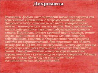 ДихроматыДихроматы
Различные формы дихроматопсии также наследуются как
рецессивные сцепленные с Х-хромосомой признаки.
Дихроматы могут описывать все цвета, которые видят,
только с помощью двух чистых цветов. Как у протанопов,
так и у дейтеранопов нарушена работа красно-зеленого
канала. Протанопы путают красный цвет с черным, темно-
серым, коричневым и в некоторых случаях, подобно
дейтеранопам, с зеленым. Определенная часть спектра
кажется им ахроматической. Для протанопа эта область
между 480 и 495 нм, для дейтеранопа - между 495 и 500 нм.
Редко встречающиеся тританопы путают желтый цвет и
синий. Сине-фиолетовый конец спектра кажется им
ахроматическим - как переход от серого к черному. Область
спектра между 565 и 575 нм тританопы также
воспринимают как ахроматический.
 