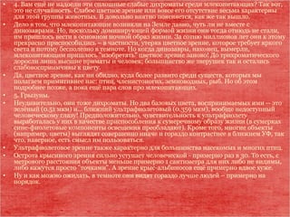 • 4. Вам ещё не надоели эти сплошные слабые дихроматы среди млекопитающих? Так вот,
это не случайность. Слабое цветное зрение или вовсе его отсутствие весьма характерны
для этой группы животных. В довольно внятно поясняется, как же так вышло.
• Дело в том, что млекопитающие возникли на Земле давно, чуть ли не вместе с
динозаврами. Но, поскольку доминирующей формой жизни они тогда отнюдь не стали,
им пришлось вести в основном ночной образ жизни. За сотню миллионов лет они к этому
прекрасно приспособились – в частности, утеряв цветное зрение, которое требует яркого
света и потому бесполезно в темноте. Но когда динозавры, наконец, вымерли,
млекопитающим пришлось "изобретать" цветное зрение заново! До трихроматического
доросли лишь высшие приматы и человек; большинство же зверушек так и остались
слабовосприимчивы к цвету.
• Да, цветное зрение, как ни обидно, куда более развито среди существ, которых мы
полагаем примитивнее нас: птиц, членистоногих, земноводных, рыб. Но об этом
подробнее позже, а пока ещё пара слов про млекопитающих.
• 5. Грызуны.
• Неудивительно, они тоже дихроматы. Но два базовых цвета, воспринимаемых ими -- это
зелёный (0.51 мкм) и… ближний ультрафиолетовый (0.359 мкм), вообще недоступный
человеческому глазу! Предположительно, чувствительность к ультрафиолету
выработалась у них в качестве приспособления к сумеречному образу жизни (в сумерках
сине-фиолетовые компоненты освещения преобладают). Кроме того, многие объекты
(например, цветы) выглядят совершенно иначе и гораздо контрастнее в ближнем УФ, так
что, наверное, есть смысл им пользоваться.
• Ультрафиолетовое зрение также характерно для большинства насекомых и многих птиц.
• Острота крысиного зрения сильно уступает человеческой - примерно раз в 30. То есть, с
метрового расстояния объекты меньше примерно 1 сантиметра для них либо не видимы,
либо кажутся просто "точками". А зрение крыс-альбиносов ещё примерно вдвое хуже.
• Ну и как можно ожидать, в темноте они видят гораздо лучше людей – примерно на
порядок.
 