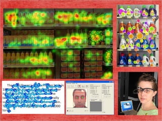 нейронаука лекция 3 сенсорные системы человека