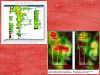 нейронаука лекция 3 сенсорные системы человека