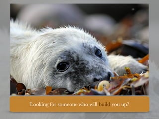 Looking for someone who will build you up?
Photo Credit: https://www.ﬂickr.com/photos/73722735@N02/29465183274/
 