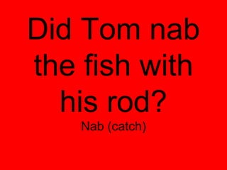 Did Tom nab
the fish with
his rod?
Nab (catch)
 