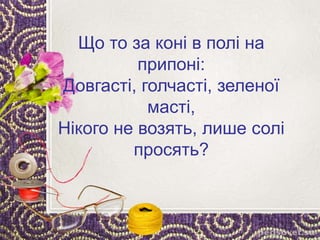 Що то за коні в полі на
припоні:
Довгасті, голчасті, зеленої
масті,
Нікого не возять, лише солі
просять?
 