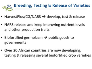 Role of Biofortification as Part of a More Diverse Diet in Africa: Progress, Challenges and Opportunities