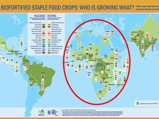 Role of Biofortification as Part of a More Diverse Diet in Africa: Progress, Challenges and Opportunities