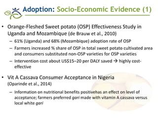 Role of Biofortification as Part of a More Diverse Diet in Africa: Progress, Challenges and Opportunities