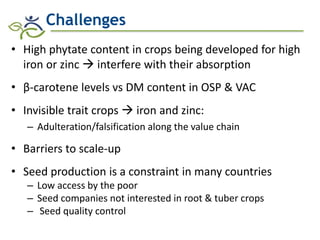 Role of Biofortification as Part of a More Diverse Diet in Africa: Progress, Challenges and Opportunities