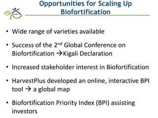 Role of Biofortification as Part of a More Diverse Diet in Africa: Progress, Challenges and Opportunities