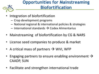 Role of Biofortification as Part of a More Diverse Diet in Africa: Progress, Challenges and Opportunities