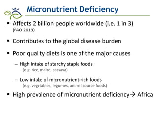 Role of Biofortification as Part of a More Diverse Diet in Africa: Progress, Challenges and Opportunities