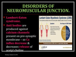 Lambert Muscle NEUROMUSCULAR JUNCTION | PPT