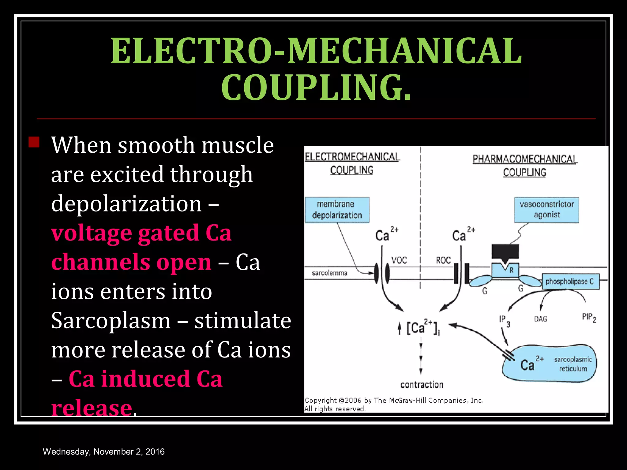 3 9 SMOOTH MUSCLE PHYSIOLOGY PPT 3-9-smooth-muscle-physiology-ppt