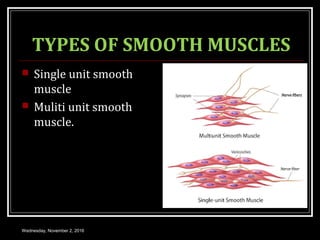 3.9 SMOOTH MUSCLE PHYSIOLOGY | PPT