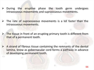  During the eruptive phase the tooth germ undergoes
intraosseous movements and supraosseous movements.
 The rate of supraosseous movements is a lot faster than the
intraosseous movements.
 The tissue in front of an erupting primary tooth is different from
that of a permanent tooth.
 A strand of fibrous tissue containing the remnants of the dental
lamina, know as gobernacular cord forms a pathway in advance
of developing permanent tooth.
66
 
