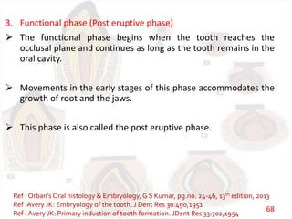 3. Functional phase (Post eruptive phase)
 The functional phase begins when the tooth reaches the
occlusal plane and continues as long as the tooth remains in the
oral cavity.
 Movements in the early stages of this phase accommodates the
growth of root and the jaws.
 This phase is also called the post eruptive phase.
Ref : Orban’s Oral histology & Embryology, G S Kumar, pg.no. 24-46, 13th edition, 2013
Ref :Avery JK: Embryology of the tooth. J Dent Res 30:490,1951
Ref : Avery JK: Primary induction of tooth formation. JDent Res 33:702,1954
68
 