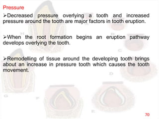 Pressure
Decreased pressure overlying a tooth and increased
pressure around the tooth are major factors in tooth eruption.
When the root formation begins an eruption pathway
develops overlying the tooth.
Remodelling of tissue around the developing tooth brings
about an increase in pressure tooth which causes the tooth
movement.
70
 