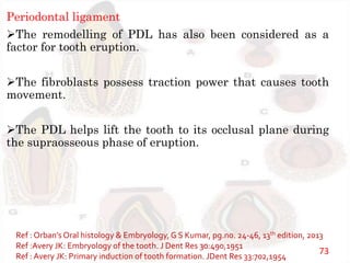 Periodontal ligament
The remodelling of PDL has also been considered as a
factor for tooth eruption.
The fibroblasts possess traction power that causes tooth
movement.
The PDL helps lift the tooth to its occlusal plane during
the supraosseous phase of eruption.
Ref : Orban’s Oral histology & Embryology, G S Kumar, pg.no. 24-46, 13th edition, 2013
Ref :Avery JK: Embryology of the tooth. J Dent Res 30:490,1951
Ref : Avery JK: Primary induction of tooth formation. JDent Res 33:702,1954
73
 