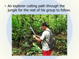• An explorer cutting path through the
jungle for the rest of his group to follow.
 