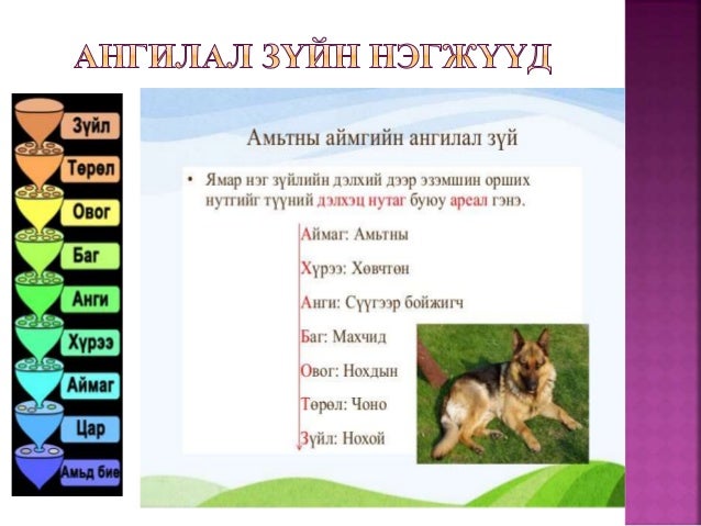 мубис н математик байгалын ухааны сургуулийн биологийн 3-р ангийн