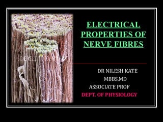 DR NILESH KATE
MBBS,MD
ASSOCIATE PROF
DEPT. OF PHYSIOLOGY
ELECTRICAL
PROPERTIES OF
NERVE FIBRES
 