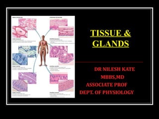 DR NILESH KATE
MBBS,MD
ASSOCIATE PROF
DEPT. OF PHYSIOLOGY
TISSUE &
GLANDS
 