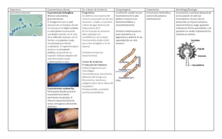 Organismo Características clínicas Dx. y factor de virulencia Fisiopatogenia Tratamiento Morfología/fisiología
Sporothrixschenckii Esporotricosis linfangítica:
Micosissubcutánea,
granulomatosa.
El hongoentrapor la piel
despuésde un trauma, donde
se inocula en el tejido cutáneo
o subcutáneoocasionando
unalesión nodular. En el sitio
de la infección aparece con el
tiempo unapápulay luego
unapústulaque tiende
a ulcerarse. El organismogana
acceso a la circulación
linfática causandoen su
trayecto nódulosalejadosdel
sitio de la lesión inicial
y adenopatías locales.
Esporotricosis cutánea fija
Permanece dondeocurre el
traumatismola lesión
permanece localizada, el
chancro esporotricósicoes
único, verrugosoy de bordes
definidos.
Diagnóstico:
Se obtiene unamuestra del
chancro quepuede ser de pus,
secreción o tejido; se poneen
cultivo de agar dextrosade
Sabourauda30o
C.
Al microscopiose observan
hifas septadascon
conidióforosy en el ápice
microconidiossésiles (sésil:
que crece arraigado y nose
separa)
Intradermorreacción
(esporotricina)
Factor de virulencia:
Producciónde melanina,
inhibe la fagocitosis por
macrófagos.
Termotolerancia, dimorfismo.
Adhesióndel hongoa la
fibronectina, lamininay
colágeno tipoII de la célula del
hospedero.
Producebiofilm y también
enzimasproteolíticas.
La infección puede ser por
traumatismoenla piel,
(dedos omanos) y se
diseminalinfática y
ascendentemente.
Sintetiza melaninaque lo
hace resistente a la
fagocitosis y además le da
capacidad de ser más
invasivo.
Hifas
Itroconazol, terbinafina,
yodurode potasioy
anfotericina B
Se presenta 2 semanasdespuésde
la inoculación en piel por
traumatismo, enese sitiose
desarrolla unchancro (chancro
esporotricósico), luego aparecen
nódulosen forma ascendente, si el
paciente no recibe tratamientolos
nódulosse ulceran.
 