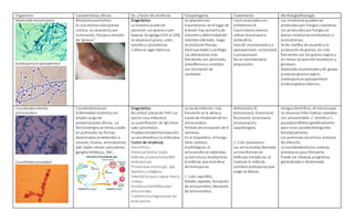 Organismo Características clínicas Dx. y factor de virulencia Fisiopatogenia Tratamiento Morfología/fisiología
Madurella mycetomatis
Scedosporiumapiospermun
Micetomaeumicótico:
Es una micosissubcutánea
crónica, se caracteriza por
tumoración, fistulaso emisión
de “granos”
Diagnóstico:
La muestra puedeser
secreción congranoso por
biopsia. Se agrega KOH al 10%,
se observael grano, color,
tamañoy consistencia.
Cultivoen agar dextrosa
Se adquiere por
traumatismo, enel lugar de
la lesión hay aumentode
volumeny deformidaddel
miembroafectado, luego
se producenfístulas.
Destruyetejido y cartílago.
Las alteraciones más
frecuentes son periostitis,
osteofibrosisy osteólisis
con formación de
cavidades.
Casosavanzadoscon
anfotericina B.
Casosmenosseveros
utilizar itraconazol o
terbinafina.
Para M. mycetomatis y S.
apiospermum, voriconazol
o pozaconazol.
Nose recomiendala
amputación.
Los micetomaspuedenser
producidosporhongosobacterias.
Los producidosporhongosse
llaman micetomaseumicóticos o
eumicetomas.
Se les clasifica de acuerdo a la
producciónde granos, los más
frecuentes son los granosnegrosy
en menor proporciónlosblancos y
grisáceos.
Madurella mycetomatisy M. grisea
producengranosnegros.
Scedosporium apiospermum
producegranos blancos.
Coccidioidesimmitis
artroconidios
Coccidioidesposadasii
Coccidioidomicosis
Enfermedad sistémica con
amplio rangode
presentacionesclínicas. La
forma benignase limita a daño
en pulmones;las formas
diseminadasse extienden a
vísceras, huesos, articulaciones,
piel, tejido celular subcutáneo,
ganglioslinfáticos, SNC…
Diagnóstico:
Noutilizar placasde Petri, ya
que es muy infeccioso.
La cuantificación de IgG tiene
valor pronóstico.
Pruebasintradermorreacción:
La coccidioidina y la esferulina.
Factor de virulencia:
Dimorfismo.
Potencial biótico (cada
esférula producehasta800
endosporas)
ProteinasascontraIgG, IgA,
elastina y colágeno.
Sideróforospara captar hierro.
Ureasa
Envolturahidrofóbicadel
artroconidio.
Cubierta mucilaginosaen las
endosporas.
La vía de infección más
frecuente es la aérea a
travésde inhalaciónde los
artroconidios.
Períodode incubación de 4
semanas.
En el hospedero, el hongo
tiene cambios
morfológicos:el
artroconidiose redondea.
La estructura resultantees
la esférula que está llena
de endosporas.
1. Ciclo saprófito:
Micelio septado, formación
de artroconidios, liberación
de artroconidios.
Anfotericina B,
ketoconazol, itraconazol,
fluconazol, coriconazol,
posaconazoly
caspofungina.
2. Ciclo parasitario:
Las artroconidiasliberadas
se transformanen
esférulas inmaduras;al
madurarla esférula
contiene endosporasque
luego se liberan.
Hongosdimórficos. Al microscopio
se observanhifas hialinas septadas
con artroconidios. C. immitisy C.
posadasiidifierengenéticamente
pero noes posibledistinguirlas
fenotípicamente.
Los pulmonessonel foco primario
de infección.
La coccidioidomicosis cutánea
primaria es poco frecuente.
Puede ser residual, progresiva,
generalizada o diseminada.
 