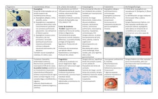 Organismo Características clínicas Dx. y factor de virulencia Fisiopatogenia Tratamiento Morfología/fisiología
Aspergillus spp Aspergilosis
Grupode enfermedades con un
amplio espectrode
manifestacionesclínicas.
a) Aspergilosis alérgica: rinitis,
alveolitis, asma.
b) Aspergiloma o aspergilosis
pulmonarobstructiva:seda
comúnmenteen pacientes
con procesospulmonares
adyacentes. Casi siempre en
el lóbulosuperior.
c) Aspergilosis invasiva:poco
frecuente y de mal
pronóstico. Seinvade
parénquimapulmonar.
Lesiones pulmonares
crónicas y después
neumoníanecrosanteo de
abscesos.
También causanaspergilosis
cutáneas, en oídosy ojos.
Estudiodirecto con KOH al
10% paramuestrasde esputo,
cutánea, observandohifas
septadasy hialinas.
Intradermorreacción cutánea:
extracto de Aspergillus spp
PCRy MALDI-TOF
Factor de virulencia:
“Rodlets”(pigmentosde
melanina en forma de varilla),
inhiben la fagocitosis.
Termotolerancia amplia.
Resistencia a estrés oxidativo.
Adhesinas. La proteína RodAp
protege al hongode la
fagocitosis. Producciónde
enzimas.
Producciónde micotoxinas
que ejercen efecto
hepatotóxicoy cancerígeno.
Producenlisis celular.
Vía principal de infección es
por inhalaciónde conidios,
tambiénpor traumatismos
cutáneos.
Factores de riesgo:
desnutrición, tuberculosis,
abscesoamebiano
primario, alcoholismo
crónico, carcinomas
pulmonares, neutropenia,
leucemia, trasplantes,
corticoterapia, VIH.
Hongosubicuos, se aíslan
frecuentemente del aire,
tierra, plantas, materia
orgánica en
descomposicióny en
alimentos
Microbiotadel cuerpo
comoorofaringe, fosas
nasales, piel, saco lagrimal,
oídoy tubo
gastrointestinal.
Aspergilosis alérgica:
antihistamínicosy
corticoterapia.
Aspergilosis pulmonar:
anfotericina B y
posaconazol.
Voriconazoles el
tratamientode elección
para la aspergilosis
invasiva.
El 95% delas aspergilosisson
causadaspor A. fumigatus, A. flavus
y A. niger.
Su identificación se logra mediante
microscopía:hifas y cabeza
aspergilar.
Hongosfilamentososhialinos, con
hifas septadasramificadas que
producencabezas aspergilares,
cada cabeza se componede un
conidióforocon una vesícula
terminal con unao dos capas de
fiálides.
Fusarium spp Fusiariosis:Queratitis,
enfermedad sistémica,
Neumoníaen pacientes con
neutropenia50% de los casos.
Queratitismicótica:posteriora
un traumatismoolaceración
observándoseinflamación,
eritema conjuntival de ahí sigue
úlcera corneal irregular. Si se
complica llega a endoftalmitis y
ceguera.
Infección diseminadacon
afectación a diversosórganosy
sistemas.
Diagnóstico:
Cultivoes la pruebade oro
para el diagnóstico. Agar
dextrosade Sabouraudoagar
papadextrosa.
Factoresde virulencia:
Producenmicotoxinas:
fumonisinaB1, provocamayor
toxicidad celular.
Proteasasque están
relacionadas a resistencia a la
anfotericina B.
Hongosubicuos, sapofritan
lentes de contacto suaves,
se han aisladoen
limpiadoresde lentes de
contacto.
Factores de riesgo: usode
lentes de contacto, terapia
antibiótica tópicade amplio
espectro, esteroidea,
trasplantes.
Inmunosupresión.
Casosgraves:anfotericina
B, triazoles.
Recomendaciones:
1. Voriconazol, 2.
Anfotericina liposomal, 3.
Posaconazol.
* algunasespecies
presentanresistencia a
anfotericina B
Hongoshialinoscon hifas septadas,
pocosmicroconidios, pero con
abundanciade macroconidiosque
sonfusiformes.
 