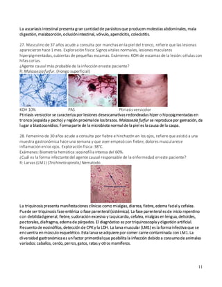 11
La ascariasis intestinal presenta gran cantidad de parásitos que producen molestias abdominales, mala
digestión, malabsorción, oclusión intestinal, vólvulo, apendicitis, colecistitis.
27. Masculino de 37 años acude a consulta por manchas en la piel del tronco, refiere que las lesionas
aparecieron hace 1 mes. Exploración física: Signos vitales normales, lesiones maculares
hiperpigmentadas, cubiertas de pequeñas escamas. Exámenes: KOH de escamas de la lesión: células con
hifas cortas.
¿Agente causal más probable de la infección en este paciente?
R: Malassezia furfur. (Hongo superficial)
KOH 10% PAS Ptiriasis versicolor
Ptiriasis versicolor se caracteriza por lesiones desescamativas redondeadas hiper o hipopigmentadas en
tronco (espalda y pecho) y región proximal de los brazos. Malassezia furfur se reproducepor gemación, da
lugar a blastoconidios. Forma parte de la microbiota normal de la piel es la causa de la caspa.
28. Femenino de 30 años acude a consulta por fiebre e hinchazón en los ojos, refiere que asistió a una
muestra gastronómica hace una semana y que ayer empezó con fiebre, dolores musculares e
inflamación en los ojos. Exploración física: 38°C.
Exámenes: Biometría hemática: eosinofilia intensa del 60%.
¿Cuál es la forma infectante del agente causal responsable de la enfermedad en este paciente?
R: Larvas (LM1) (Trichinela spiralis) Nematodo
La triquinosis presenta manifestaciones clínicas como mialgias, diarrea, fiebre, edema facial y cefalea.
Puede ser triquinosis fase entérica o fase parenteral (sistémica). La fase parenteral es de inicio repentino
con debilidad general, fiebre, sudoración excesiva y taquicardia, cefalea, mialgias en lengua, deltoides,
pectorales, diafragma, edema de párpados. El diagnóstico es por triquinoscopía y digestión artificial.
Recuento de eosinófilos, detección de CPK y la LDH. La larva muscular (LM1) es la forma infectiva que se
encuentra en músculo esquelético. Esta larva se adquiere por comer carne contaminada con LM1.La
diversidad gastronómica es un factor primordial que posibilita la infección debido a consumo de animales
variados: caballos, cerdo, perros,gatos, ratas y otros mamíferos.
 
