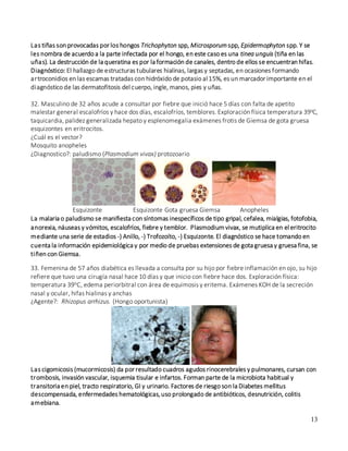 13
Las tiñas son provocadas por los hongos Trichophyton spp, Microsporum spp, Epidermophyton spp. Y se
les nombra de acuerdo a la parte infectada por el hongo, en este caso es una tinea unguis (tiña en las
uñas). La destrucción de la queratina es por la formación de canales, dentro de ellos se encuentran hifas.
Diagnóstico: El hallazgo de estructuras tubulares hialinas, largas y septadas, en ocasiones formando
artroconidios en las escamas tratadas con hidróxido de potasio al 15%, es un marcador importante en el
diagnóstico de las dermatofitosis del cuerpo, ingle, manos, pies y uñas.
32. Masculino de 32 años acude a consultar por fiebre que inició hace 5 días con falta de apetito
malestar general escalofríos y hace dos días, escalofríos, temblores. Exploración física temperatura 39oC,
taquicardia, palidez generalizada hepato y esplenomegalia exámenes frotis de Giemsa de gota gruesa
esquizontes en eritrocitos.
¿Cuál es el vector?
Mosquito anopheles
¿Diagnostico?: paludismo (Plasmodium vivax) protozoario
Esquizonte Esquizonte Gota gruesa Giemsa Anopheles
La malaria o paludismo se manifiesta con síntomas inespecíficos de tipo gripal, cefalea, mialgias, fotofobia,
anorexia, náuseas y vómitos, escalofríos, fiebre y temblor. Plasmodiumvivax, se mutiplica en el eritrocito
mediante una serie de estadios -) Anillo, -) Trofozoíto, -) Esquizonte. El diagnóstico se hace tomando en
cuenta la información epidemiológica y por medio de pruebas extensiones de gota gruesa y gruesa fina, se
tiñen con Giemsa.
33. Femenina de 57 años diabética es llevada a consulta por su hijo por fiebre inflamación en ojo, su hijo
refiere que tuvo una cirugía nasal hace 10 días y que inicio con fiebre hace dos. Exploración física:
temperatura 39oC, edema periorbitral con área de equimosis y eritema. Exámenes KOH de la secreción
nasal y ocular, hifas hialinas y anchas
¿Agente?: Rhizopus arrhizus. (Hongo oportunista)
Las cigomicosis (mucormicosis) da por resultado cuadros agudos rinocerebrales y pulmonares, cursan con
trombosis, invasión vascular, isquemia tisular e infartos. Forman parte de la microbiota habitual y
transitoria en piel, tracto respiratorio, GI y urinario. Factores de riesgo son la Diabetes mellitus
descompensada, enfermedades hematológicas,uso prolongado de antibióticos, desnutrición, colitis
amebiana.
 