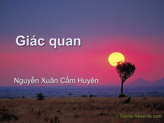 Giác quan
Nguyễn Xuân Cẩm Huyên
 