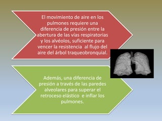 El movimiento de aire en los
pulmones requiere una
diferencia de presión entre la
abertura de las vías respiratorias
y los alvéolos, suficiente para
vencer la resistencia al flujo del
aire del árbol traqueobronquial.
Además, una diferencia de
presión a través de las paredes
alveolares para superar el
retroceso elástico e inflar los
pulmones.
 
