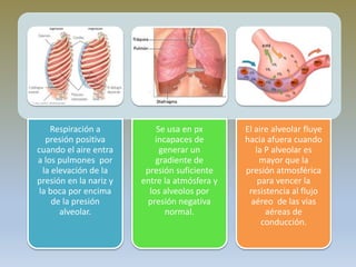 Respiración a
presión positiva
cuando el aire entra
a los pulmones por
la elevación de la
presión en la nariz y
la boca por encima
de la presión
alveolar.
Se usa en px
incapaces de
generar un
gradiente de
presión suficiente
entre la atmósfera y
los alveolos por
presión negativa
normal.
El aire alveolar fluye
hacia afuera cuando
la P alveolar es
mayor que la
presión atmosférica
para vencer la
resistencia al flujo
aéreo de las vias
aéreas de
conducción.
 