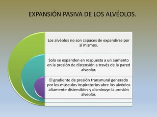 EXPANSIÓN PASIVA DE LOS ALVÉOLOS.
Los alvéolos no son capaces de expandirse por
sí mismos.
Solo se expanden en respuesta a un aumento
en la presión de distensión a través de la pared
alveolar.
El gradiente de presión transmural generado
por los músculos inspiratorios abre los alvéolos
altamente distensibles y disminuye la presión
alveolar.
 
