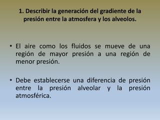 1. Describir la generación del gradiente de la
presión entre la atmosfera y los alveolos.
• El aire como los fluidos se mueve de una
región de mayor presión a una región de
menor presión.
• Debe establecerse una diferencia de presión
entre la presión alveolar y la presión
atmosférica.
 