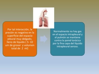Por tal interacción, la
presión es negativa en la
superficie del espacio
pleural muy delgado,
lleno de líquido ( 5- 10
um de grosor y volumen
total de 2 ml)
Normalmente no hay gas
en el espacio intrapleural y
el pulmón se mantiene
contra la pared torácica
por la fina capa del líquido
intrapleural seroso.
 