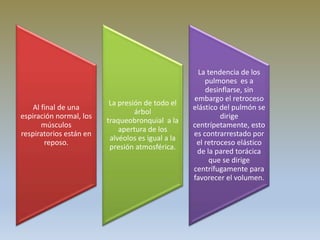 Al final de una
espiración normal, los
músculos
respiratorios están en
reposo.
La presión de todo el
árbol
traqueobronquial a la
apertura de los
alvéolos es igual a la
presión atmosférica.
La tendencia de los
pulmones es a
desinflarse, sin
embargo el retroceso
elástico del pulmón se
dirige
centrípetamente, esto
es contrarrestado por
el retroceso elástico
de la pared torácica
que se dirige
centrífugamente para
favorecer el volumen.
 