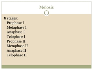 Meiosis 8 stages: Prophase I Metaphase I Anaphase I Telophase I Prophase II Metaphase II Anaphase II Telophase II 