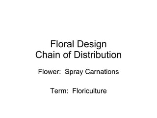 Floral Design Chain of Distribution Flower:  Spray Carnations Term:  Floriculture 