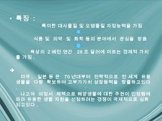 • 특징 :
          특이한 대사물질 및 오염물질 자정능력을 가짐

        식품 및 의약 및 화학 등의 분야에서 관심을 받음

        육상의 2 배인 연간   26 조 달러에 이르는 경제적 가치
    를 가짐 .


      미국 , 일본 등 은 70 년대부터 전략적으로 전 세계 유용
    생물을 다량 확보하여 고부가가치 성장동력을 창출하고있다
    .
      나고야 의정서 채택으로 해양생물에 대한 주권이 인정됨에
    따라 유용한 생물 자원을 선점하려는 경쟁이 국제적으로 심화
    되고있다 .
 