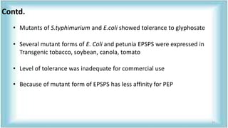 • Mutants of S.typhimurium and E.coli showed tolerance to glyphosate
• Several mutant forms of E. Coli and petunia EPSPS were expressed in
Transgenic tobacco, soybean, canola, tomato
• Level of tolerance was inadequate for commercial use
• Because of mutant form of EPSPS has less affinity for PEP
Contd.
11
 