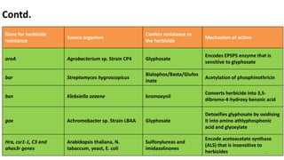 Gene for herbicide
resistance
Source organism
Confers resistance to
the herbicide
Mechanism of action
aroA Agrobacterium sp. Strain CP4 Glyphosate
Encodes EPSPS enzyme that is
sensitive to glyphosate
bar Streptomyces hygroscopicus
Bialophos/Basta/Glufos
inate
Acetylation of phosphinothricin
bxn Klebsiella ozaene bromoxynil
Converts herbicide into 3,5-
dibromo-4-hydroxy benzoic acid
gox Achromobacter sp. Strain LBAA Glyphosate
Detoxifies glyphosate by oxidising
it into amino athlyphosphonic
acid and glyoxylate
Hra, csr1-1, C3 and
ahas3r genes
Arabidopsis thaliana, N.
tabaccum, yeast, E. coli
Sulfonylureas and
imidazolinones
Encode acetoacetate synthase
(ALS) that is insensitive to
herbicides
Contd.
15
 