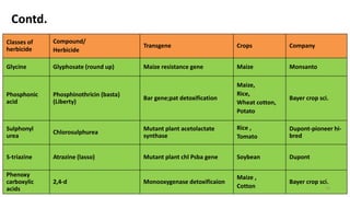 Contd.
Classes of
herbicide
Compound/
Herbicide
Transgene Crops Company
Glycine Glyphosate (round up) Maize resistance gene Maize Monsanto
Phosphonic
acid
Phosphinothricin (basta)
(Liberty)
Bar gene;pat detoxification
Maize,
Rice,
Wheat cotton,
Potato
Bayer crop sci.
Sulphonyl
urea
Chlorosulphurea
Mutant plant acetolactate
synthase
Rice ,
Tomato
Dupont-pioneer hi-
bred
S-triazine Atrazine (lasso) Mutant plant chl Psba gene Soybean Dupont
Phenoxy
carboxylic
acids
2,4-d Monooxygenase detoxificaion
Maize ,
Cotton
Bayer crop sci.
16
 