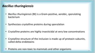 • Bacillus thuringiensis (Bt) is a Gram-positive, aerobic, sporulating
bacterium
• Synthesizes crystalline proteins during sporulation
• Crystalline proteins are highly insecticidal at very low concentrations
• Crystalline structure of the inclusion is made up of protoxin subunits,
called delta-endotoxins
• Proteins are non-toxic to mammals and other organisms
Bacillus thuringiensis
20
 