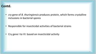 • cry gene of B. thuringiensis produces protein, which forms crystalline
inclusions in bacterial spores
• Responsible for insecticidal activities of bacterial strains
• Cry gene I to VI: based on insecticidal activity
Contd.
21
 